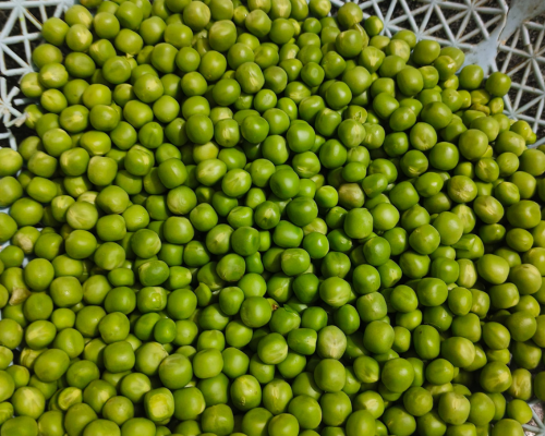 matar ka nimona recipe