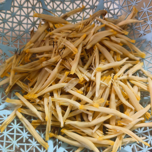 bengali recipe mochar chop