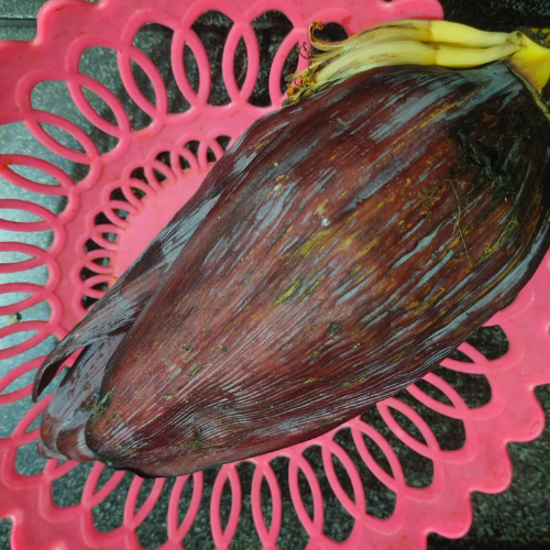 mochar chop